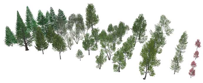 48 3D trees for SketchUp | SketchUcation