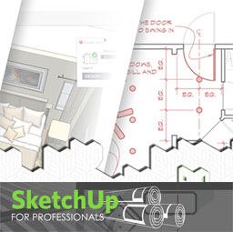 SketchUp for Professionals