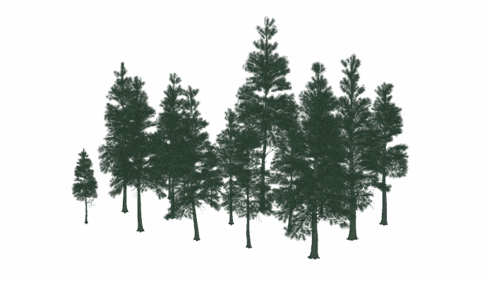 Pacific Fir Pack SketchUcation