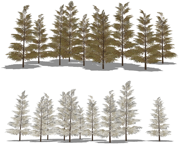 Generic Pines for SketchUp | SketchUcation